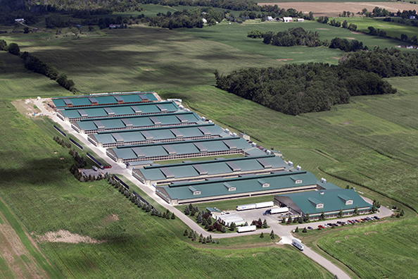 Moule de soufflage Co., Ltd